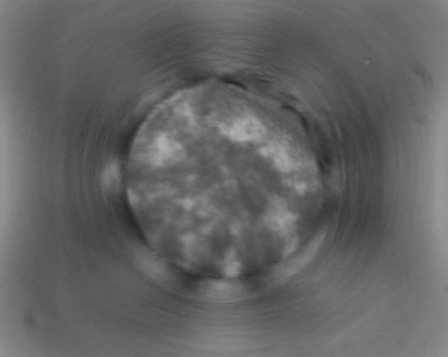 X0000113600286200910161913