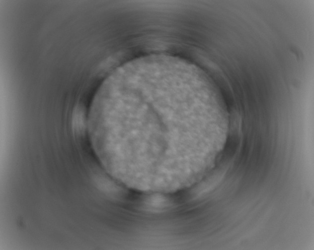 X0000113600287200910161913