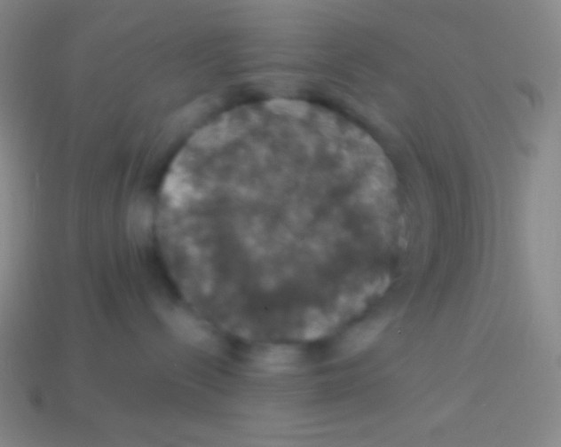 X0000113600288200910161913