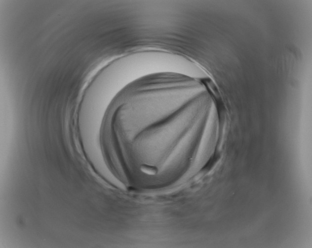 X0000113600289200910161912