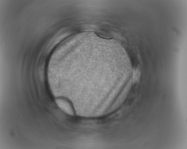 X0000113600291200910161912