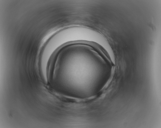 X0000113600292200910161912