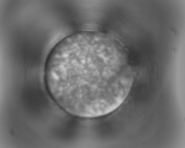 X0000113600293200910161912