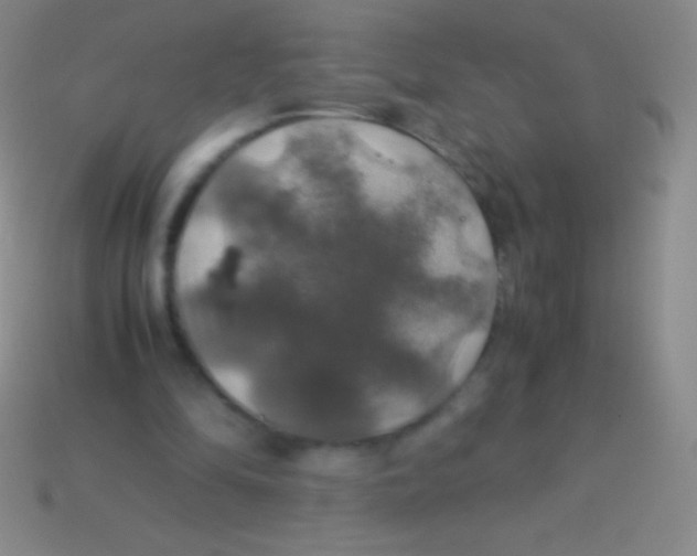 X0000113600294200910161912