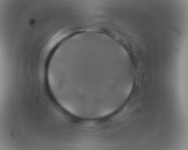 X0000113600295200910161912