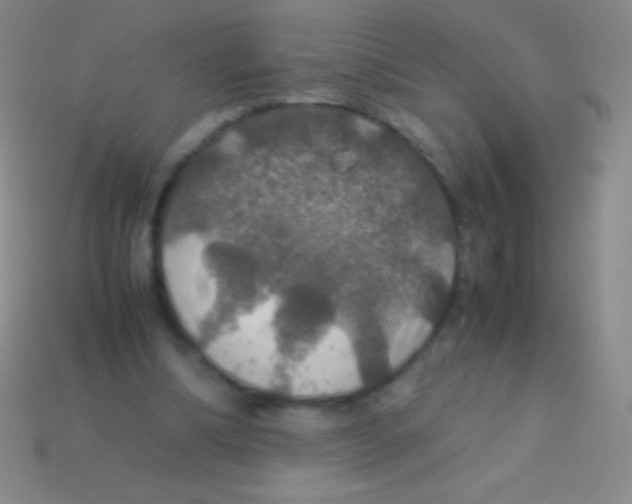 X0000113600298200910161912