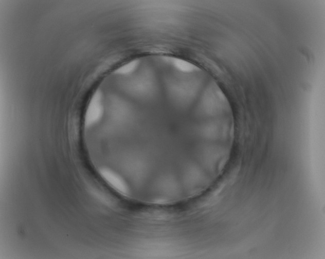 X0000113600299200910161912