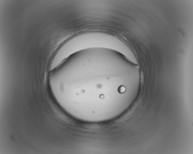 X0000113600301200910161912