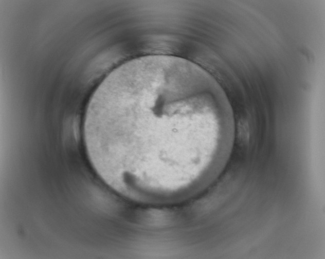 X0000113600302200910161912