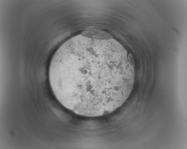 X0000113600303200910161912