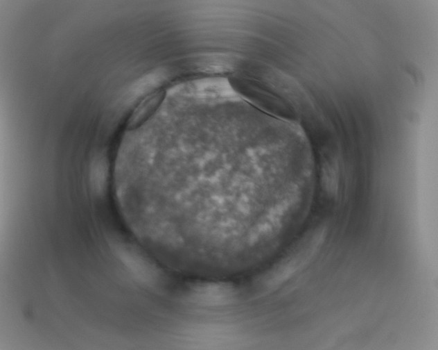 X0000113600304200910161912