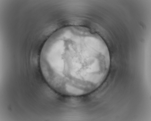 X0000113600305200910161912