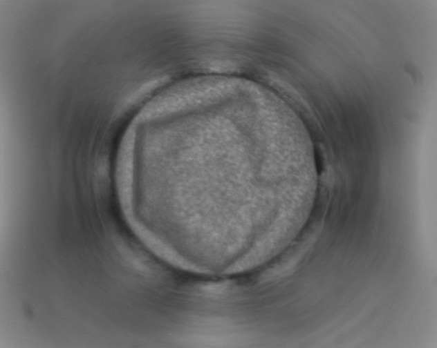 X0000113600306200910161912