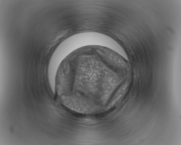 X0000113600308200910161912