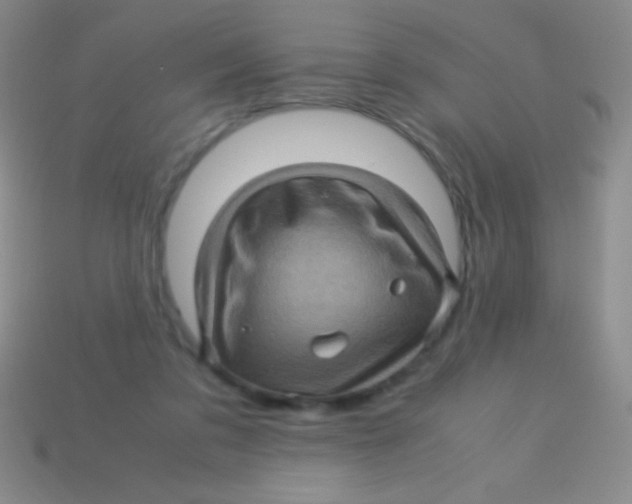 X0000113600309200910161912