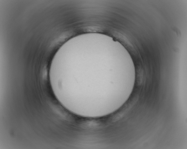 X0000113600310200910161912