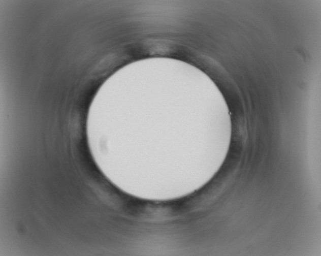 X0000113600311200910161912