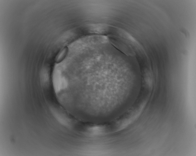 X0000113600312200910161912