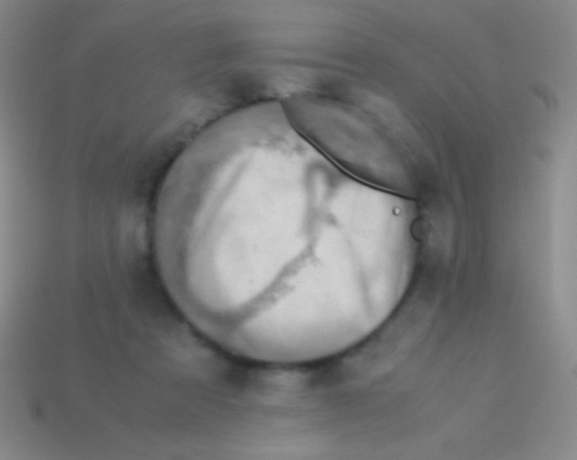 X0000113600313200910161912