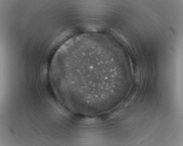 X0000113600314200910161912