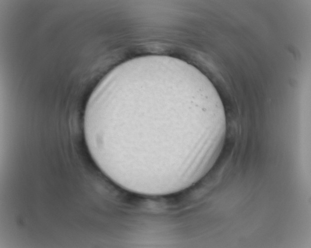 X0000113600317200910161912