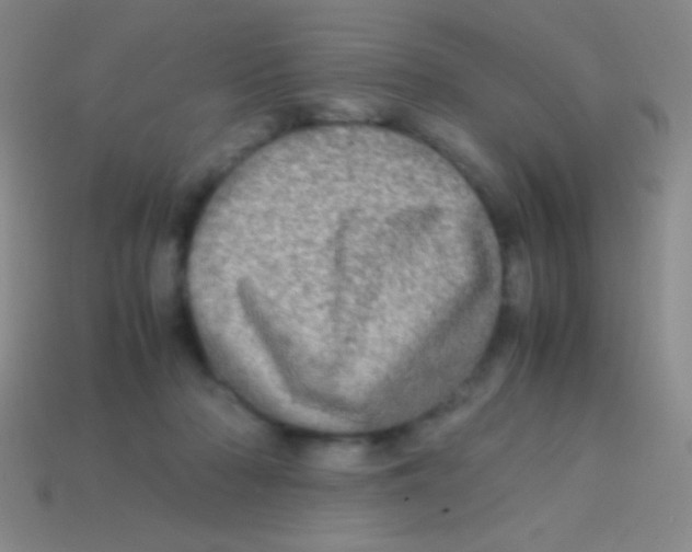 X0000113600318200910161912