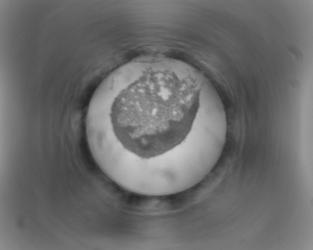 X0000113600319200910161912