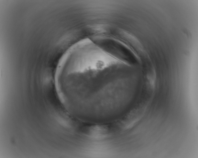 X0000113600320200910161912