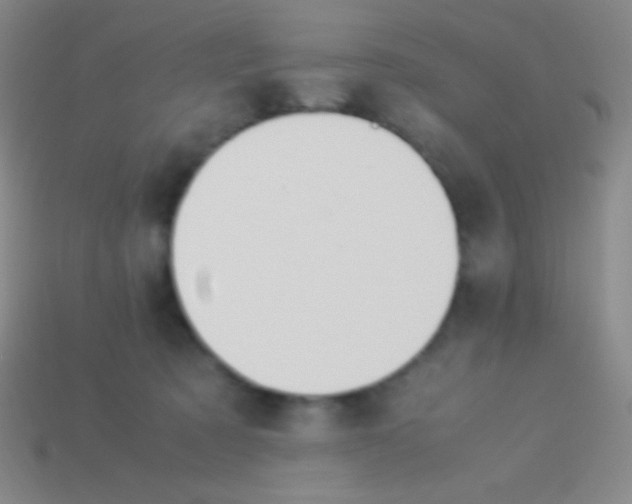 X0000113600321200910161912