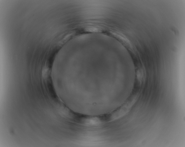 X0000113600322200910161912