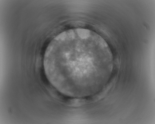 X0000113600323200910161912