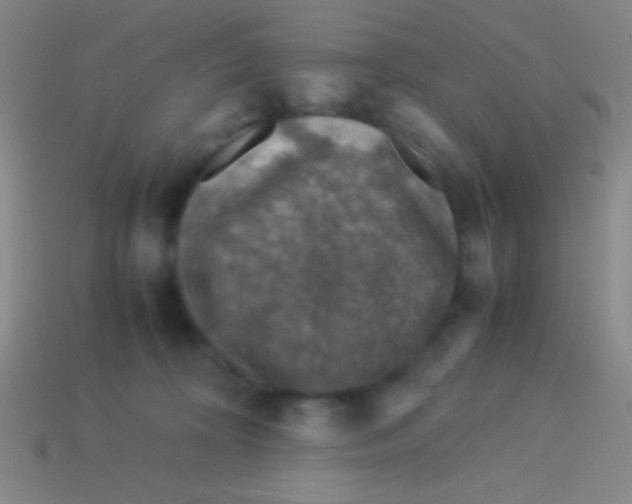 X0000113600324200910161912