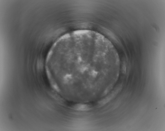 X0000113600326200910161912