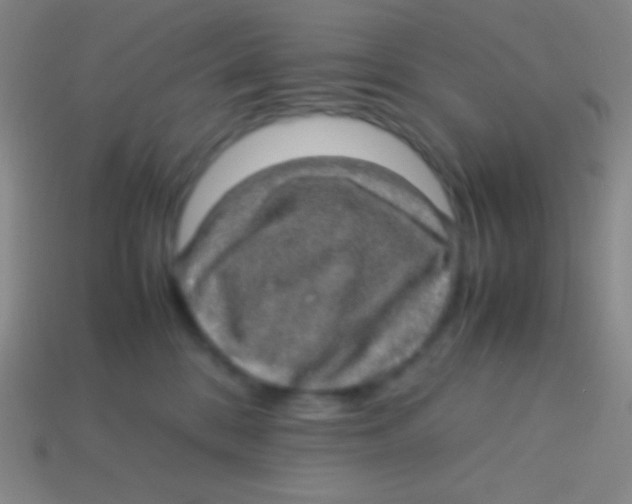 X0000113600328200910161912