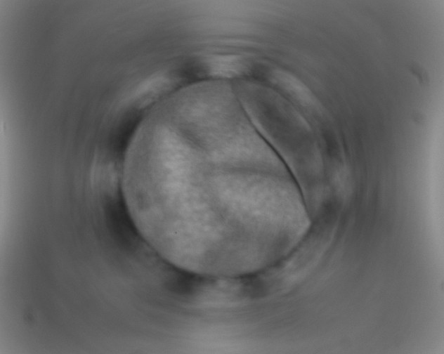 X0000113600329200910161912