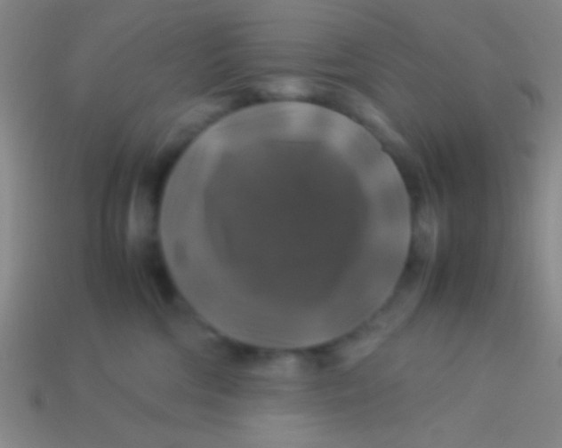 X0000113600330200910161911