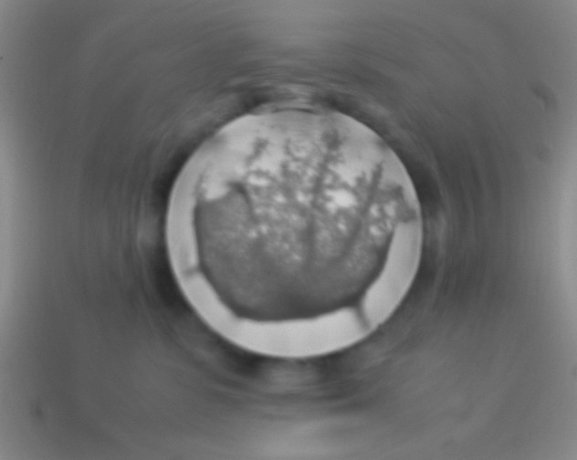 X0000113600331200910161911