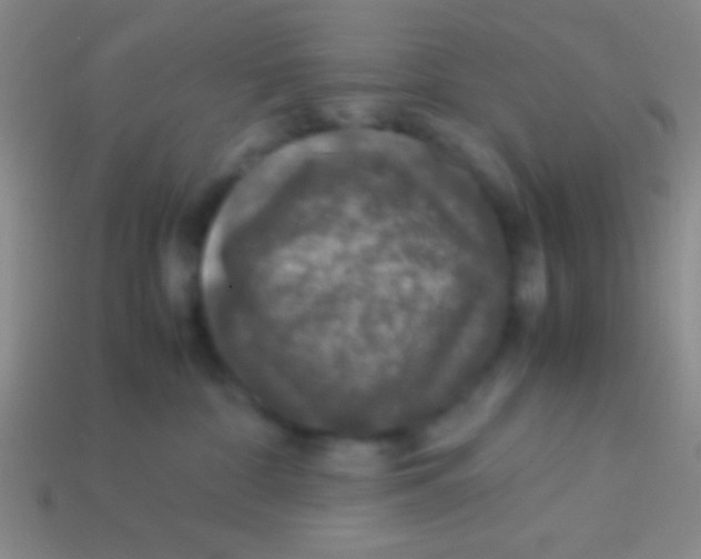 X0000113600332200910161911