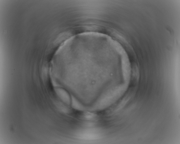 X0000113600333200910161911