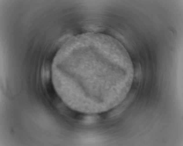 X0000113600334200910161911