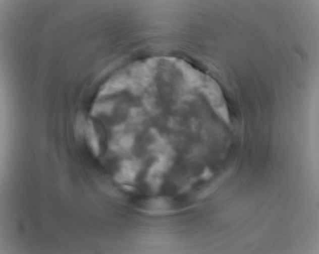 X0000113600335200910161911