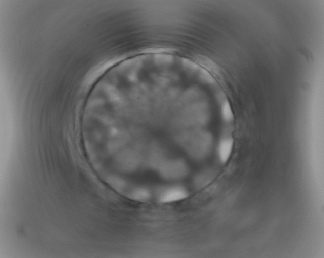 X0000113600337200910161911