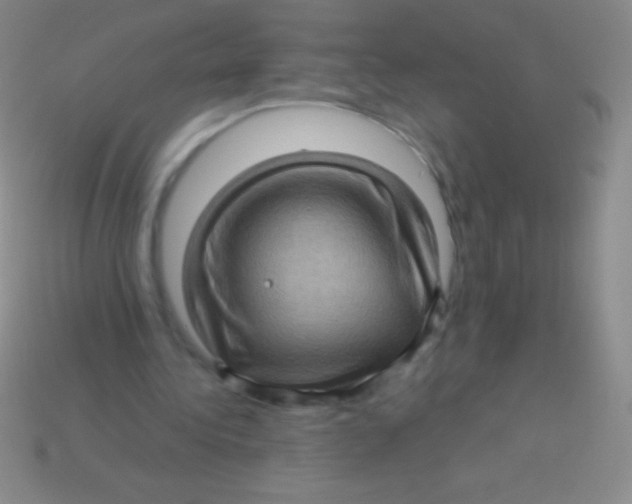 X0000113600340200910161911