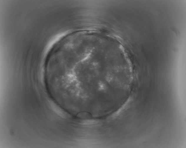 X0000113600342200910161911