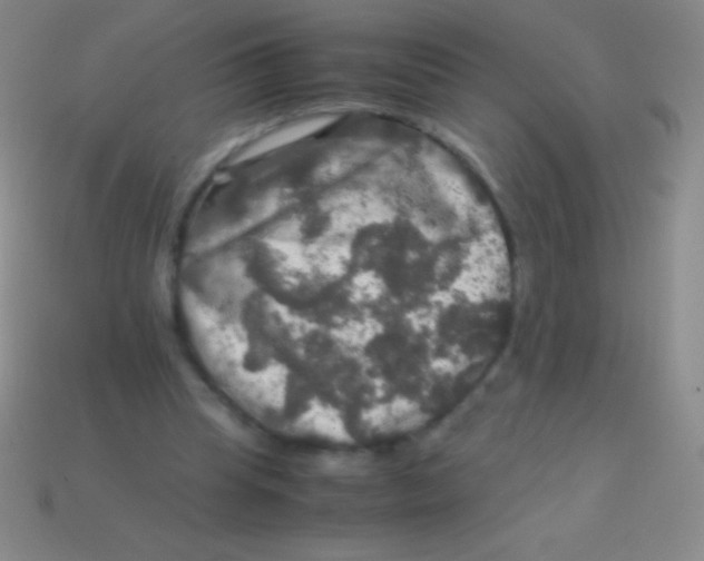 X0000113600345200910161911