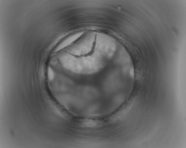 X0000113600347200910161911