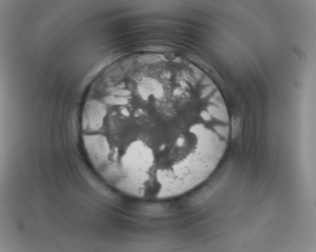 X0000113600349200910161911