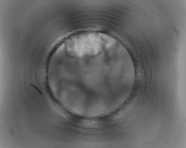 X0000113600351200910161911