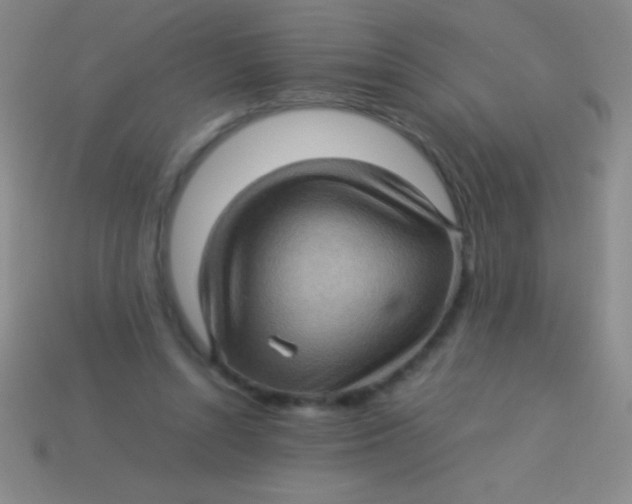 X0000113600352200910161911