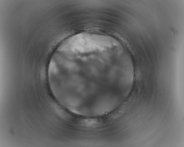 X0000113600353200910161911